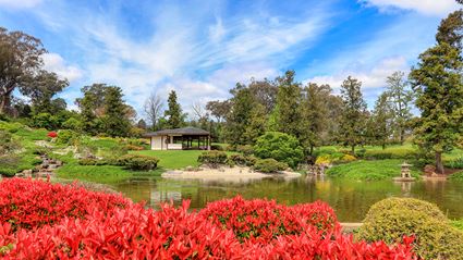 Japanese Garden - Cowra 